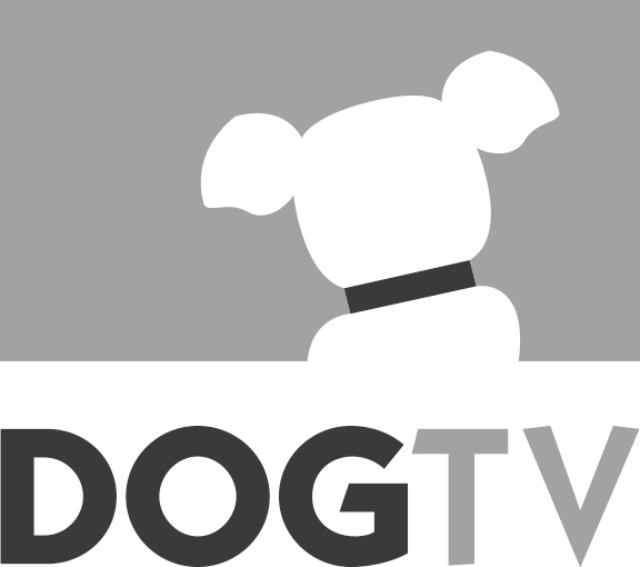 Dog TV